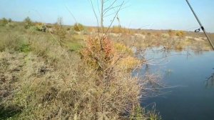 Где возле Запорожья окуня наловить?! Супер рыбалка в затопленном лесу на ультралайт!