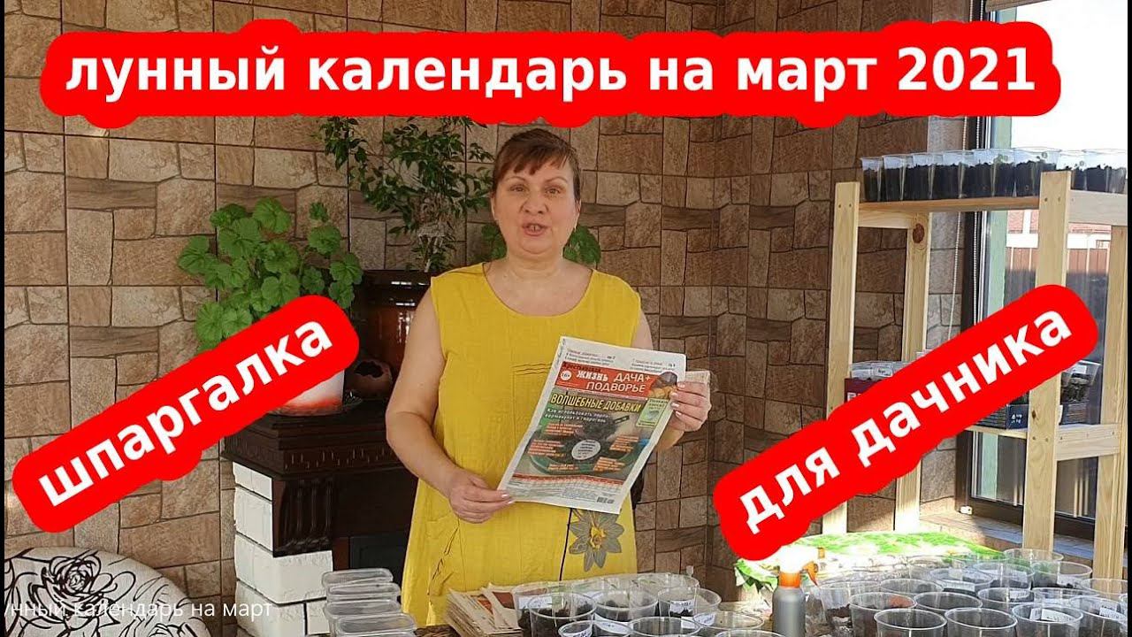 Посевной календарь огородника: март 2021 на каждый день