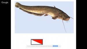 Русский язык 1 класс 3 неделя. Строчные и заглавные буквы Аа, Оо, Ии