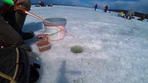 Рыбалка Сахалинской корюшки на льду в апреле! Теперь точно крайняя...