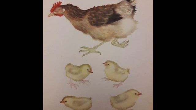 Колечко | сказка для детей| | женским голосом| сказка на ночь| Зайкин канал смотреть онлайн