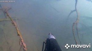 Охота с Подводным ружьем на р.Сучан