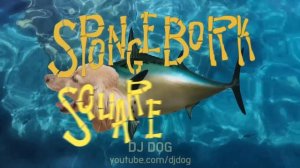 스폰지밥 오프닝 강아지 리믹스 Spongebob SquarePants - Dog Remix (Parody)