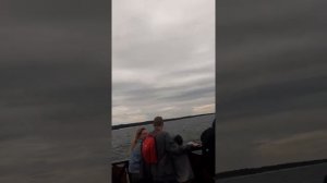 Качает на волнах