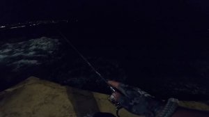 Риболов на ЗАРГАН С ДЖИГ на Черно море. Ловихме САФРИДИ на спининг на Морска гара ВАРНА.