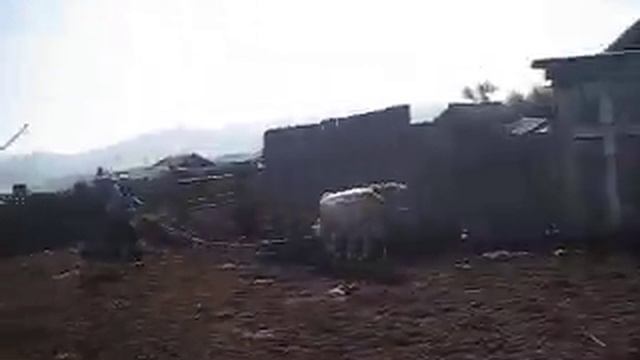 Приколы свежие ржака смешное бык тащит человека смотреть онлайн