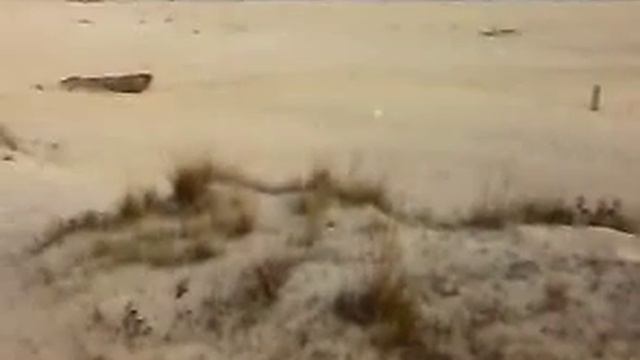 marina di ravenna смотреть онлайн