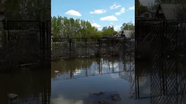 Паводок СКО.Дачи 131 км смотреть онлайн