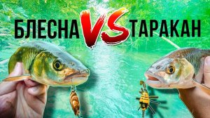 Блесна VS Таракан. Что эффективнее на микро речке?