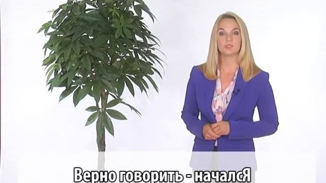 ГРАМОТНОСТЬ В МАССЫ: «НАЧАЛСЯ» - ГДЕ ПОСТАВИТЬ УДАРЕНИЕ? смотреть онлайн