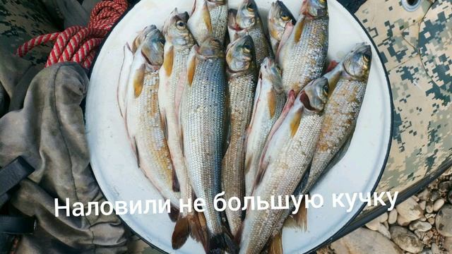 Рыбалка!!! Ловля хариуса в Сибири. Нижняя Терсь...