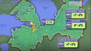 Погода с Леонидом Петровым 2011