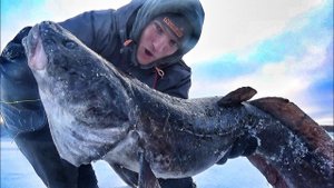 ЭТИ ЗВЕРИНЫ БЕРУТ ВЗАГЛОТ!!! ОСТАВИЛ ЖЕРЛИЦЫ НА ЧАС, А ТАМ..!