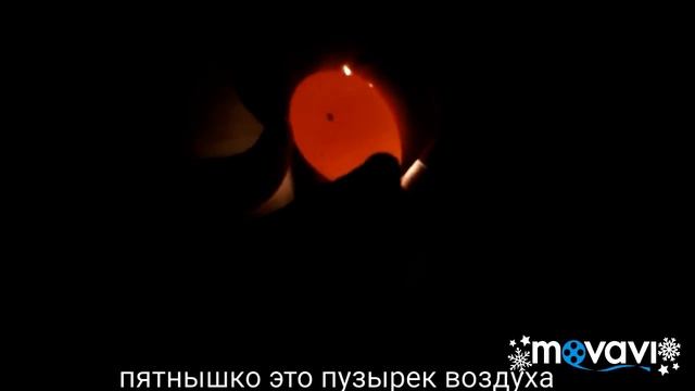 Инкубационные яйца кур, овоскопирование дома!
