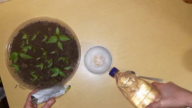 Эффективная подкормка Ростмомент смотреть онлайн