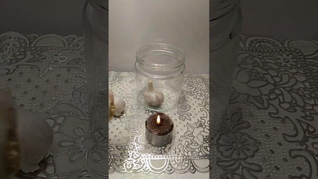 Как сохранить чеснок на долго не проросшим смотреть онлайн