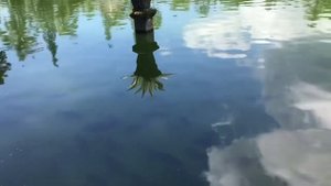 Водный дворец Тирта Ганга,храм Таман Уджунг