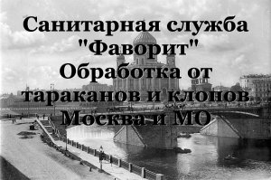 Обработка квартиры от клопов холодным туманом СЭС 'Фаворит'.