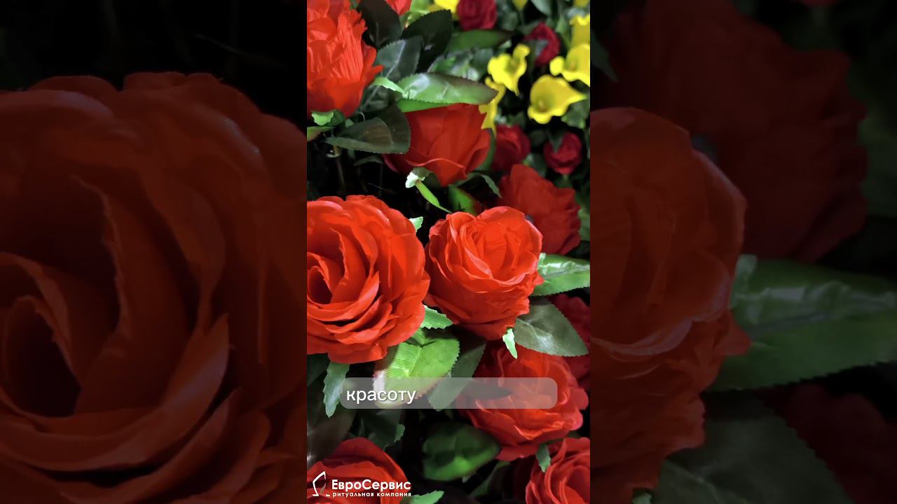 Символы любви: сердце и роза смотреть онлайн