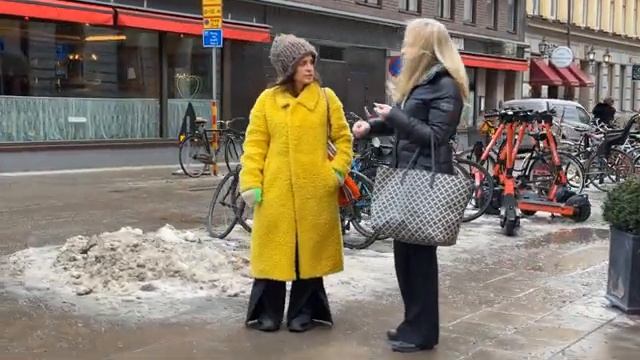 Скандинавские зимние образы | Январский стритстайл из Стокгольма | Модные тренды Зима 2023/2024