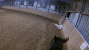 VLOG / тренировка от первого лица / не могу справиться с лошадью/ падение