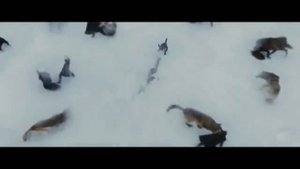 Сумерки сага. Рассвет часть 2. Океан Эльзы-Обiйми мене