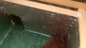 Домик для бездомных кошек.