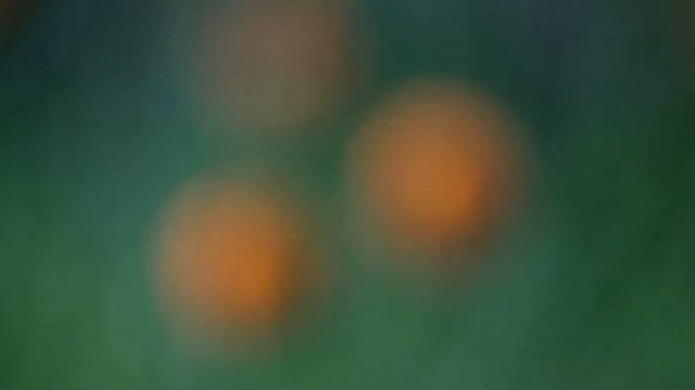 Привет Мама