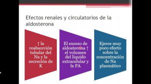 FISIOLOGÍA I. HORMONAS SUPRARRENALES