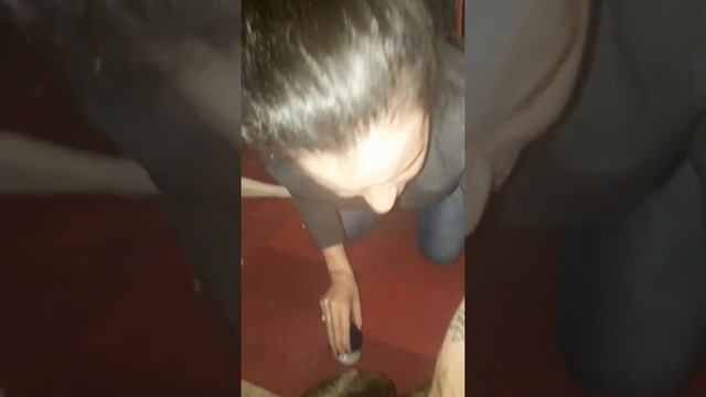 Dog dick Vaseline смотреть онлайн