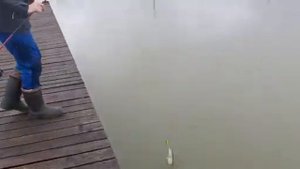 Щука отлично клюёт!!! Озера Адыгеи, озеро Богатое