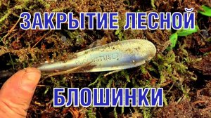 Добиваем заповедное место  Final hidden site WW2 excavations ENG SUBs