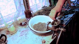 Как я заготавливаю пустырник