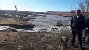 Воронежская область Анна.