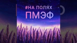 На полях ПМЭФ. Блок 1