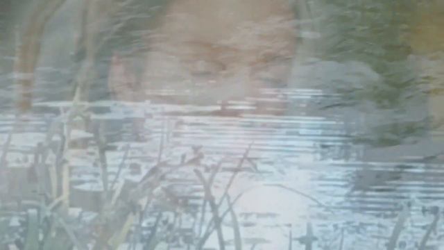 Garden - Yabujin | Violin & Vocal Cover смотреть онлайн