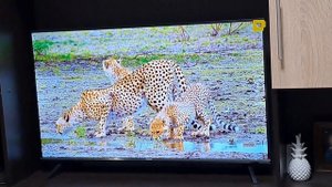 Неожиданная покупка ? Smart TV. Обзор нового телевизора. Hisense 40A4K