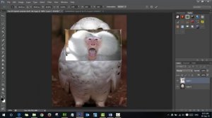 Photoshop Lesson 5 Baboon Bird Exe 5 part 2