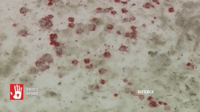 В Копейске мужчина зарезал собственную супругу смотреть онлайн