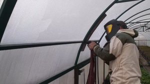 КАК ОРГАНИЗОВАТЬ ПРОВЕТРИВАНИЕ В ТЕПЛИЦЕ.