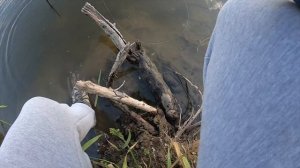 Стритфишинг в Смоленске. Днепр. Береговая рыбалка со спиннингом после работы летом