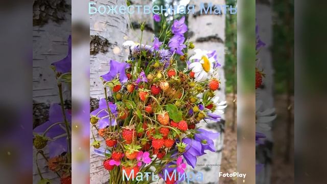 Поток Матери Мира.✨️ Божественная Мать.✨️