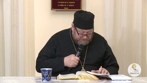Евангелие от Иоанна. Глава 20. Протоиерей Олег Стеняев. Новый Завет