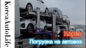 331 Погрузка автомобилей на автовоз в Корее