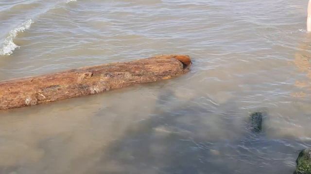 #Анапа Проблемы в Привилегии. Ярмарка меда. Море ещё грязное. смотреть онлайн