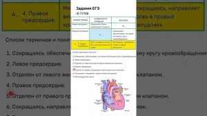 ЕГЭ-24 5.3 ID 77708 Структура сердца.