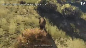 GTA 5: Расположение всех 27 растений лофофора