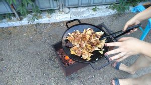 Крылышки в садже