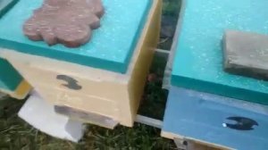 Виды изолятор и подготовка к Новому сезону#малыхин#пчеловодство#пасека