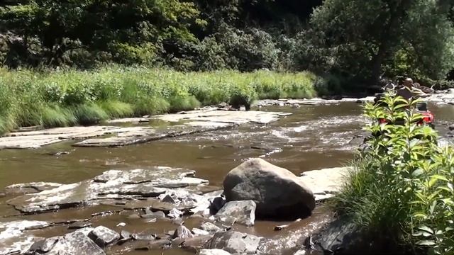 How To "Git-R-Done!" In New York смотреть онлайн